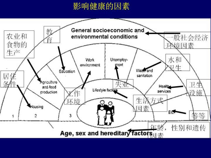 Source Dahlgren G Whitehead M 1996