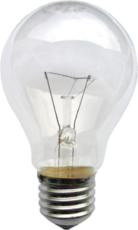 bulb