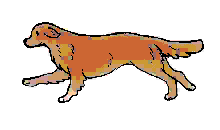 Missy's Favorite GIF