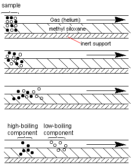 packed GC column with sample