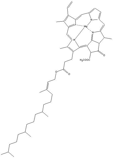 chlorophyll-a