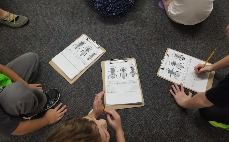 students sitting in a circle on the floor examining bee anatomy