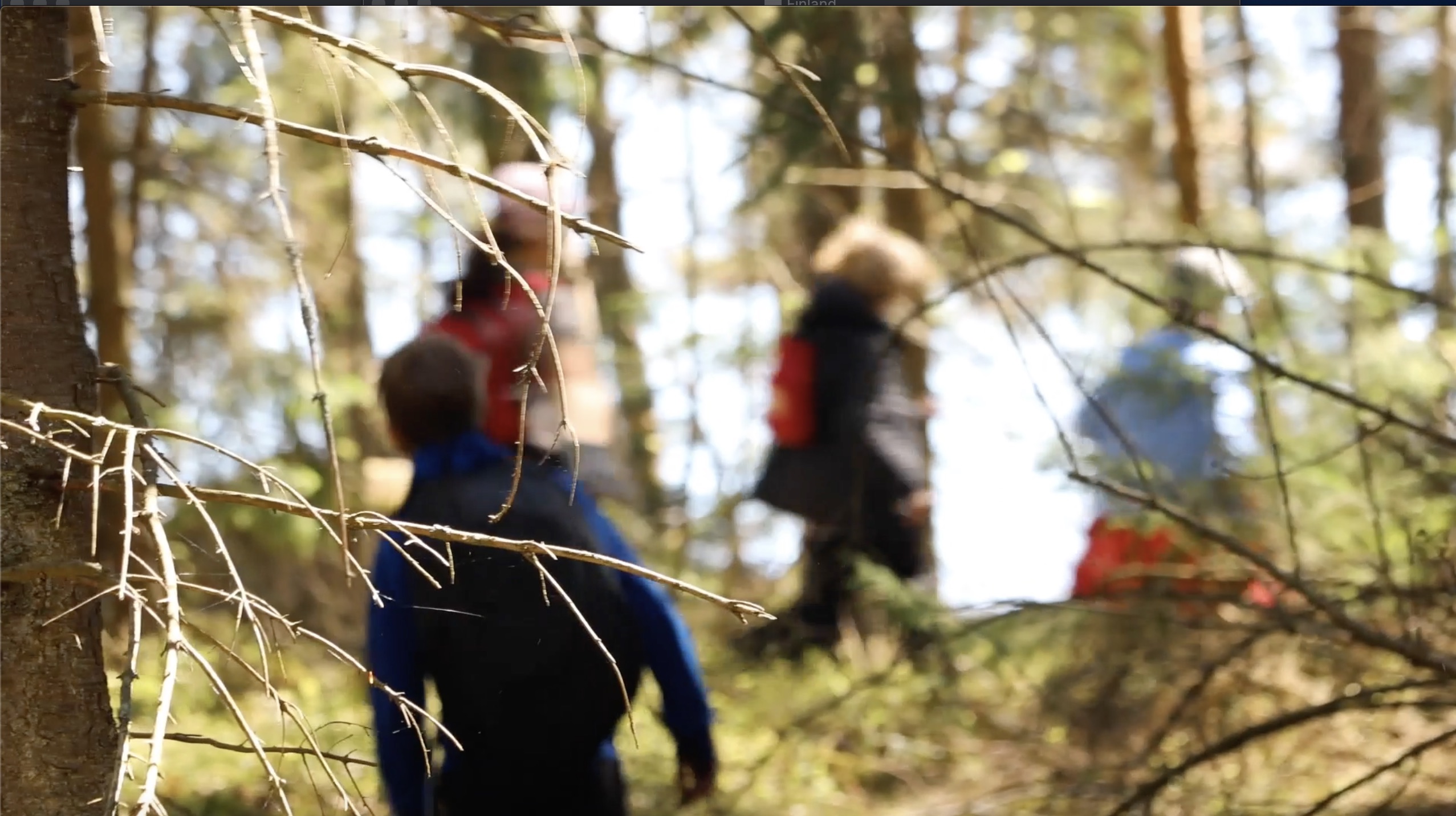blurred shot of students wandering in the woods above the sea