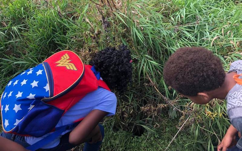 two students looking at a clump of wild vegitation