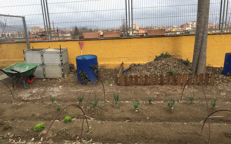 a school garden in Barcelona, Spain thta includes rows of plants, a wheelbarow, rain barrels, and a compost pile