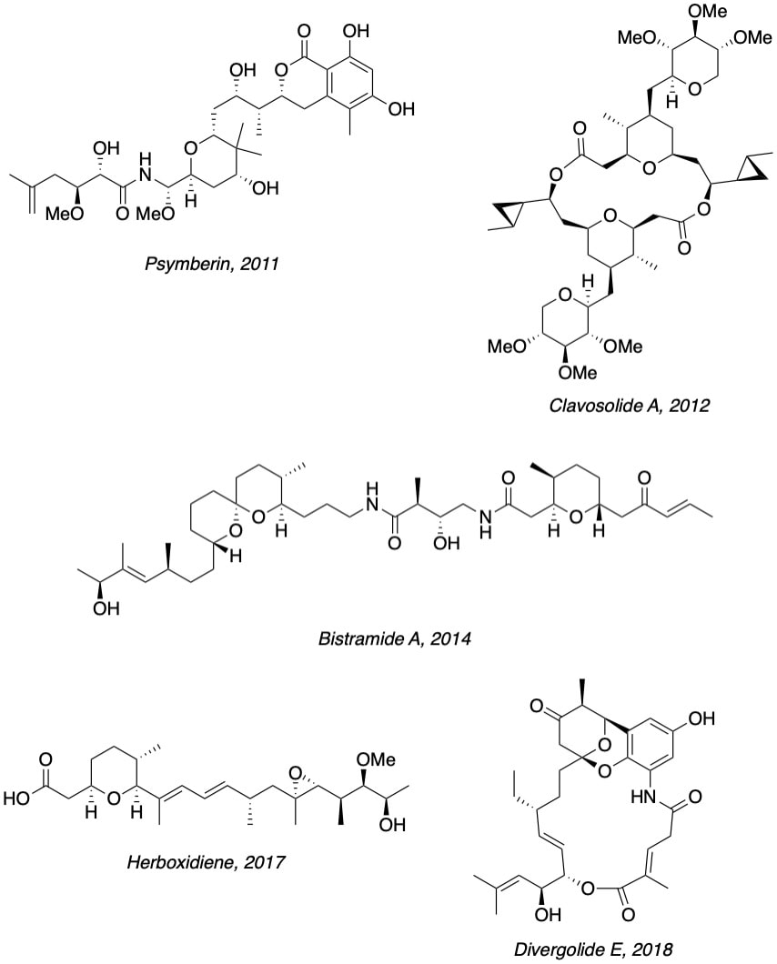 natural-product-synthesis-floreancig-lab