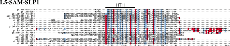 L5-SAM-SLP1 Alignment