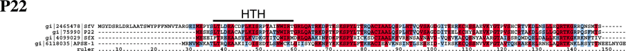 P22 Alignment