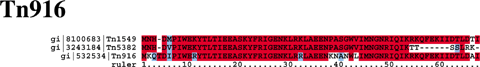Tn916 Alignment