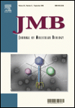 Description: 2006 JMB T5 cover image - small