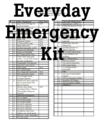 Everyday Emergency Kit.gif (10421 bytes)