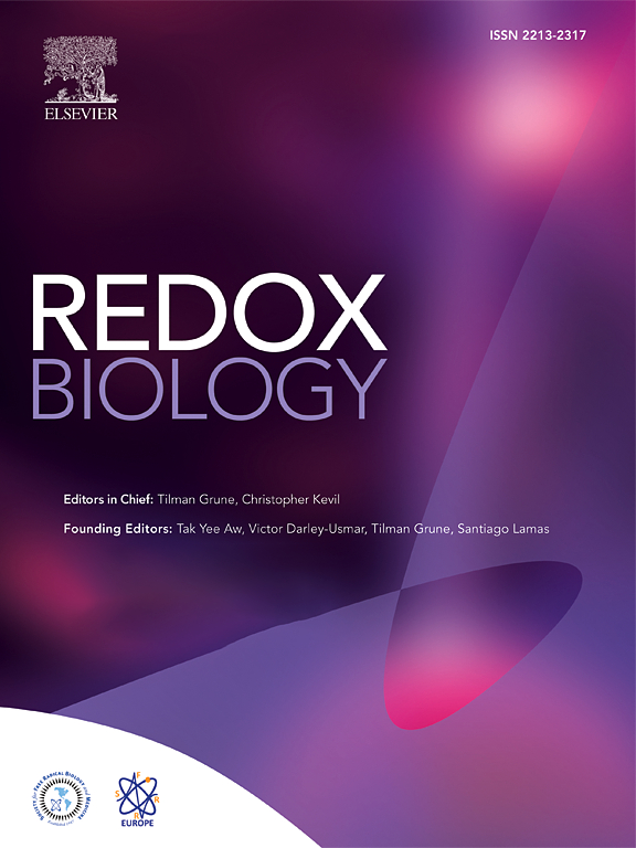 Redox Regulation of RAD51 Cys319 and Homologous Recombination by Peroxiredoxin 1
