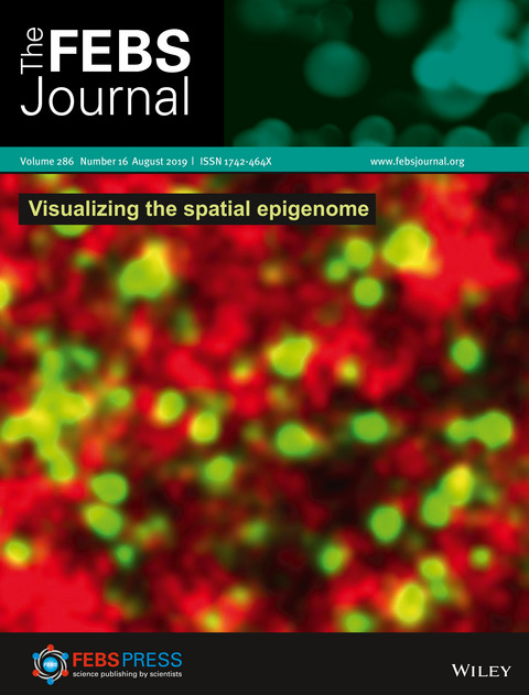 A guide to visualizing the spatial epigenome with super‐resolution microscopy