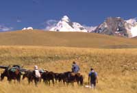 Peru-Cord-Blanca-Horses