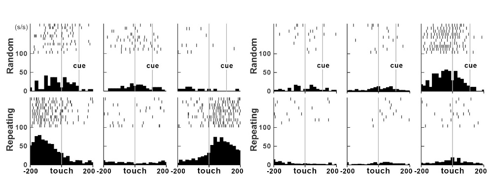Neural recording data