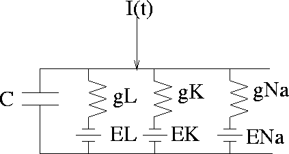 \begin{figure}
\centerline{
\psfig {figure=hheqcirc.ps,height=2in,angle=270}
}\end{figure}