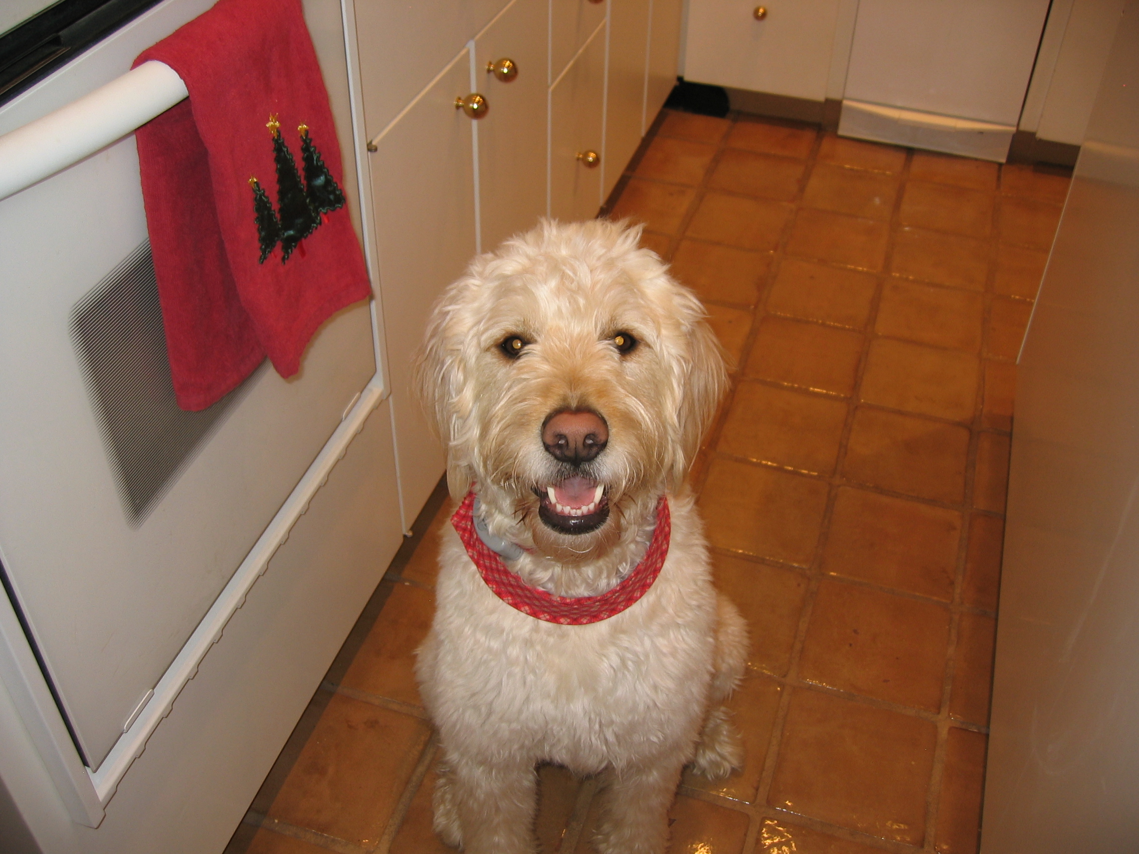 Bunker Christmas 2007