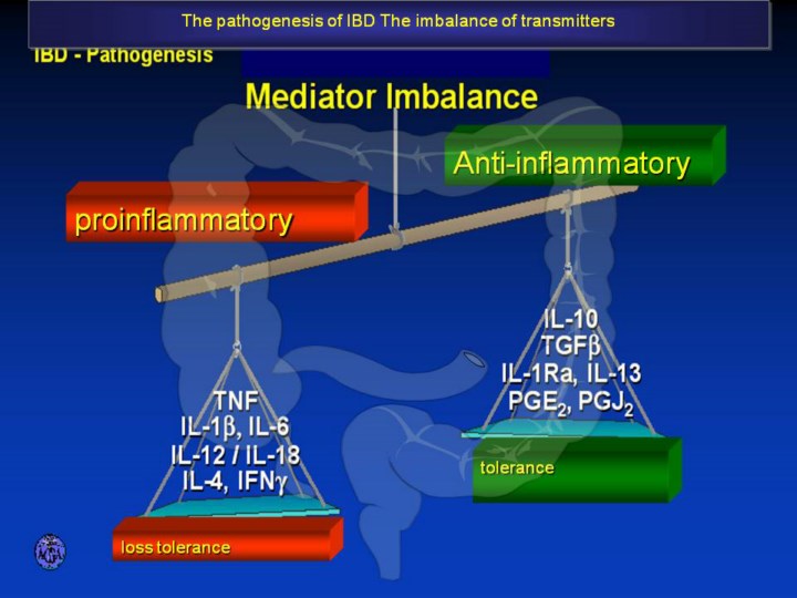 135. BALANCE OF INFLAMMATORY MEDIATORS IN THE INTESTINE