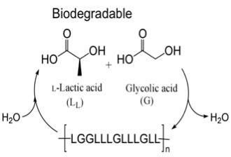 biodegradable